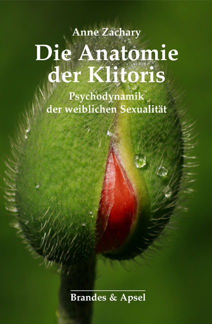 Die Anatomie der Klitoris